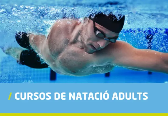 cursos adults natació cem maresme